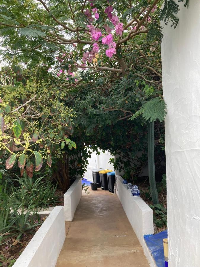 Apartamentos Y Habitaciones Villa Marina ลากาเลตา ภายนอก รูปภาพ