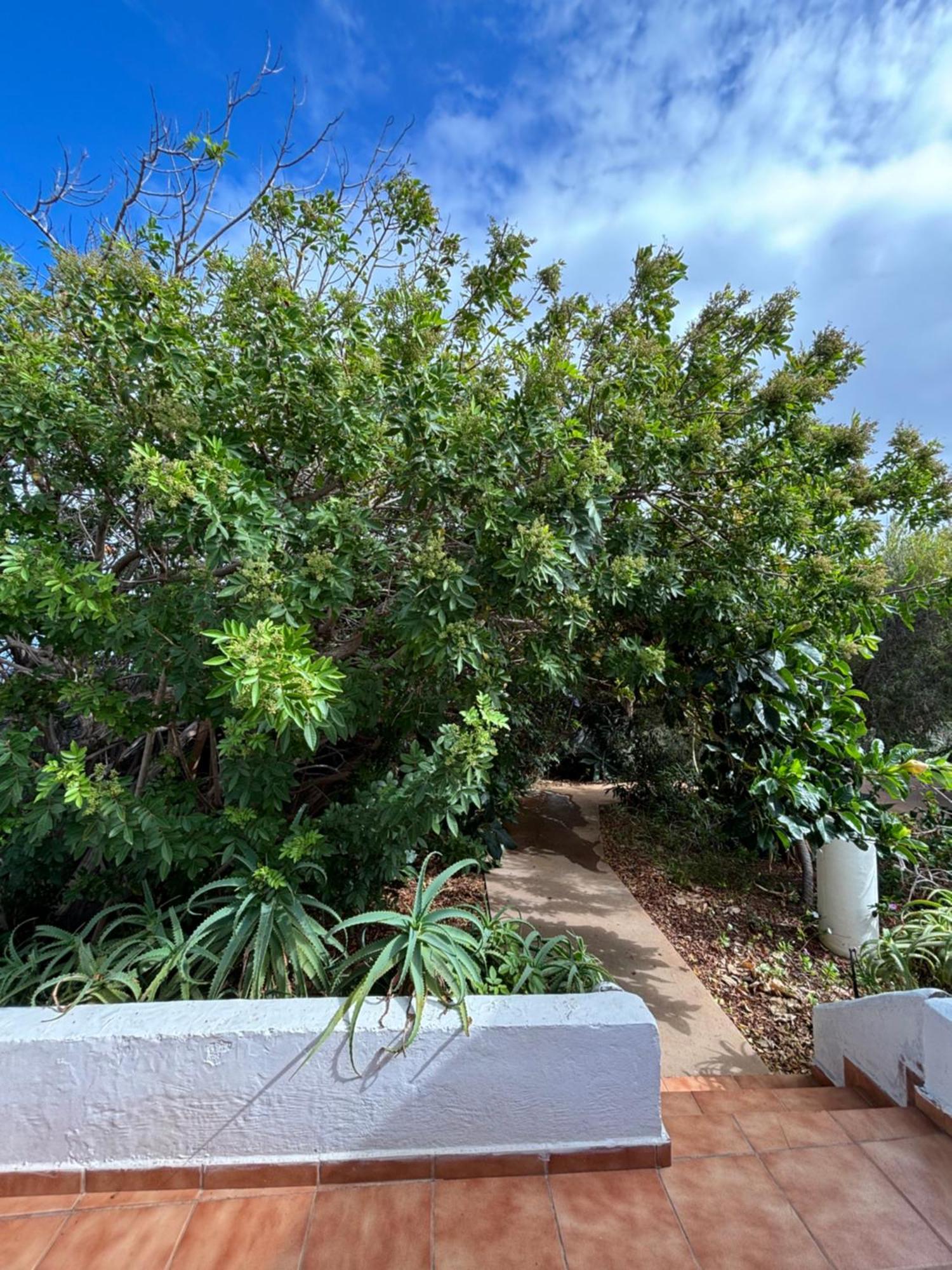 Apartamentos Y Habitaciones Villa Marina ลากาเลตา ภายนอก รูปภาพ